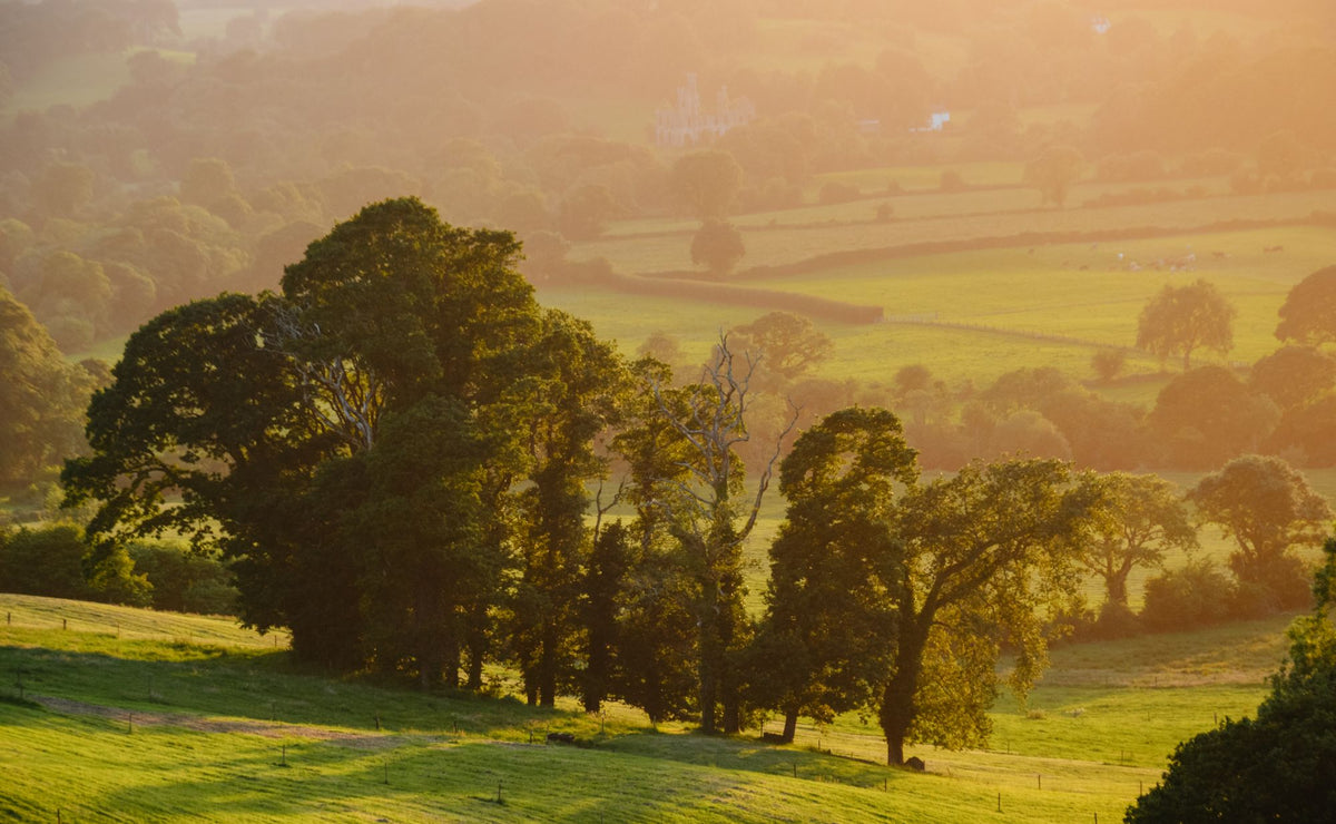 Golden hour over rolling countryside in the West of England