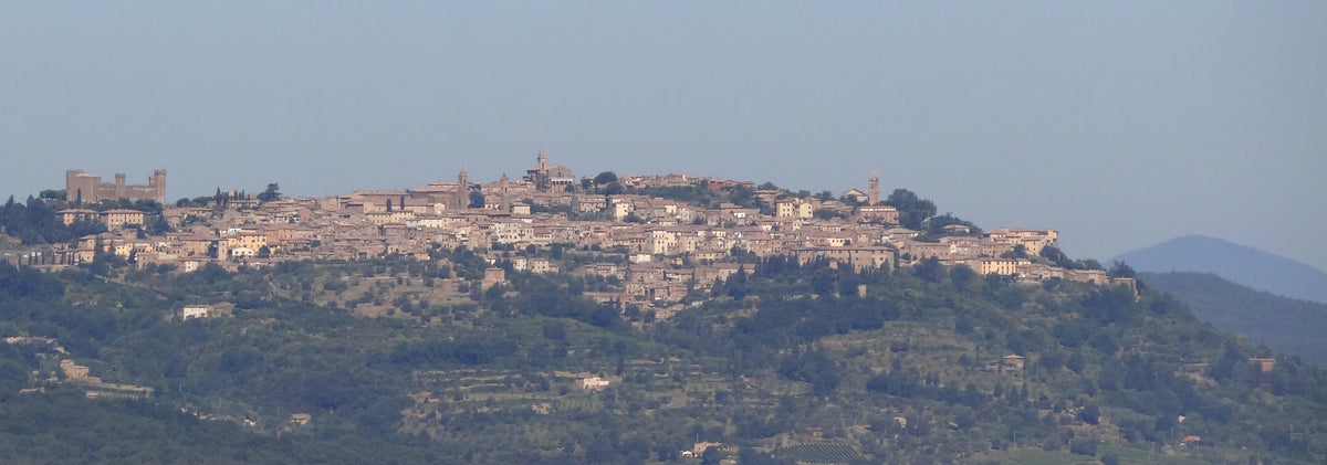 The hill town of Montalcino above the estate's vineyards, seen from the Via Francigena. Castiglion del Bosco itself has no suitable published photograph, so this shows the wider Montalcino landscape it sits within