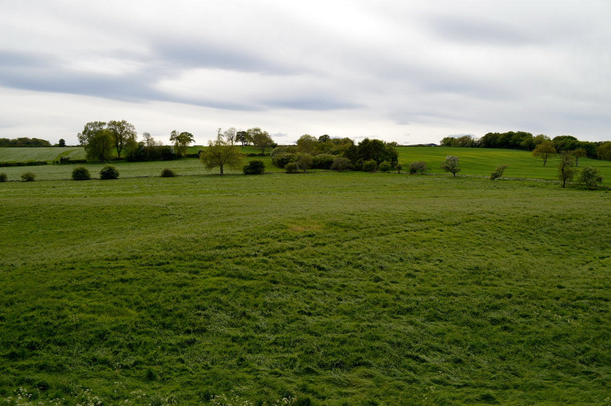 Farmland near Middleton Tyas, close to Middleton Lodge Estate in North Yorkshire