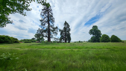 Parkland at Dogmersfield Park, the 500 acre estate surrounding Four Seasons Hotel Hampshire