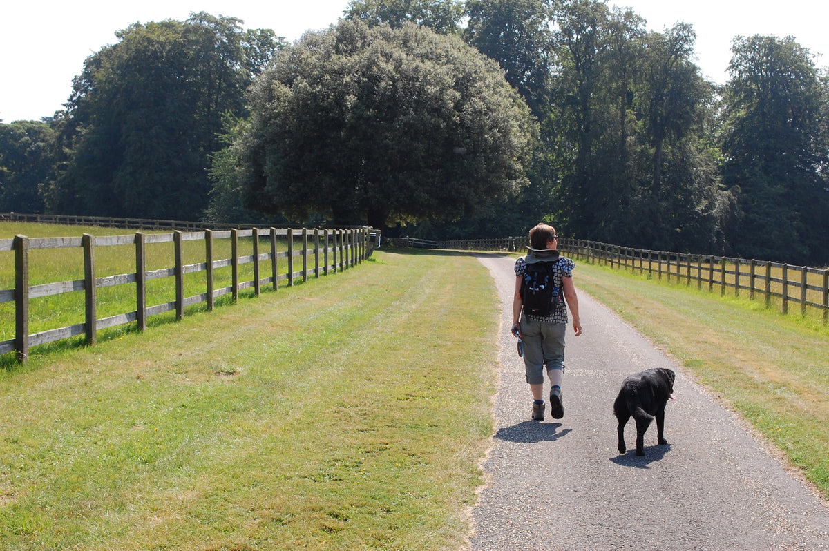 The estate road running through Daylesford, Bamford Wellness Spa, Daylesford