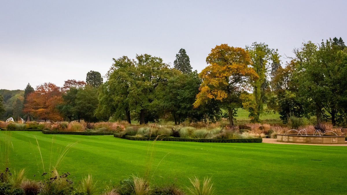 The autumn gardens at Grantley Hall, fading into rust and gold, though this shows the grounds rather than the hall itself.