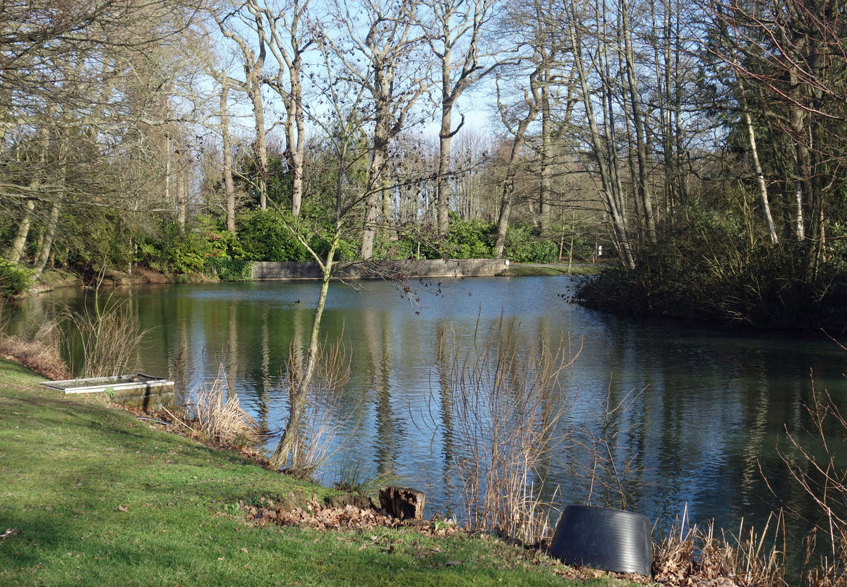 A calm lake surrounded by winter trees on the Coworth Park estate