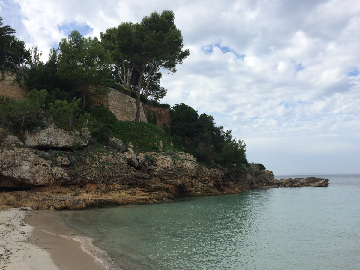 Pine covered cliffs above the turquoise water of the Mallorca coast near Cala Blava