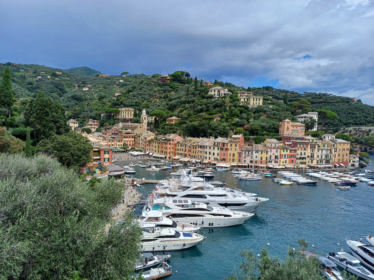 Portofino harbour, seen from the hillside above
