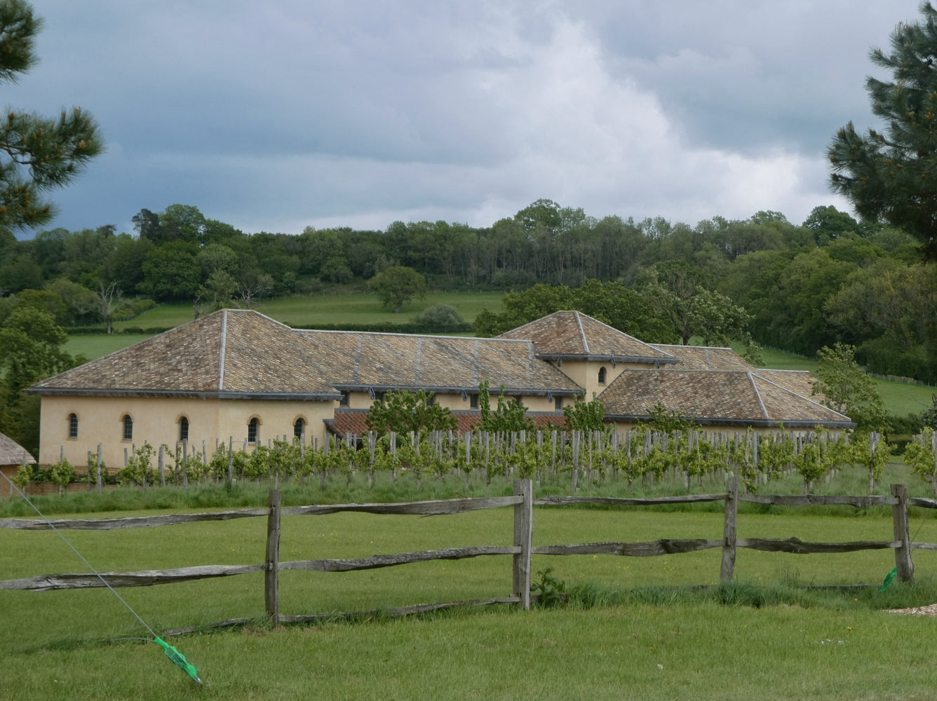 Villa Ventorum, the recreated Roman villa above its vineyard on the Newt estate in Somerset, photographed by Rob Farrow