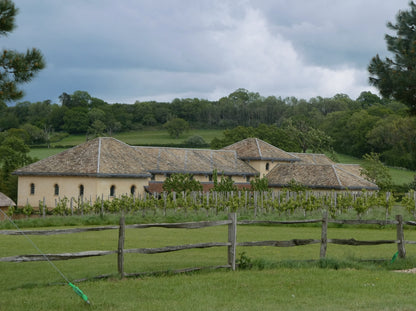 Villa Ventorum, the recreated Roman villa above its vineyard on the Newt estate in Somerset, photographed by Rob Farrow