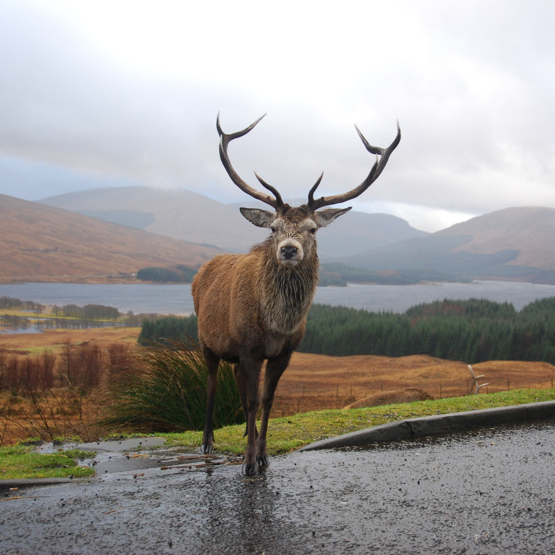 Five-Star Luxury Scottish Spa Break For Two