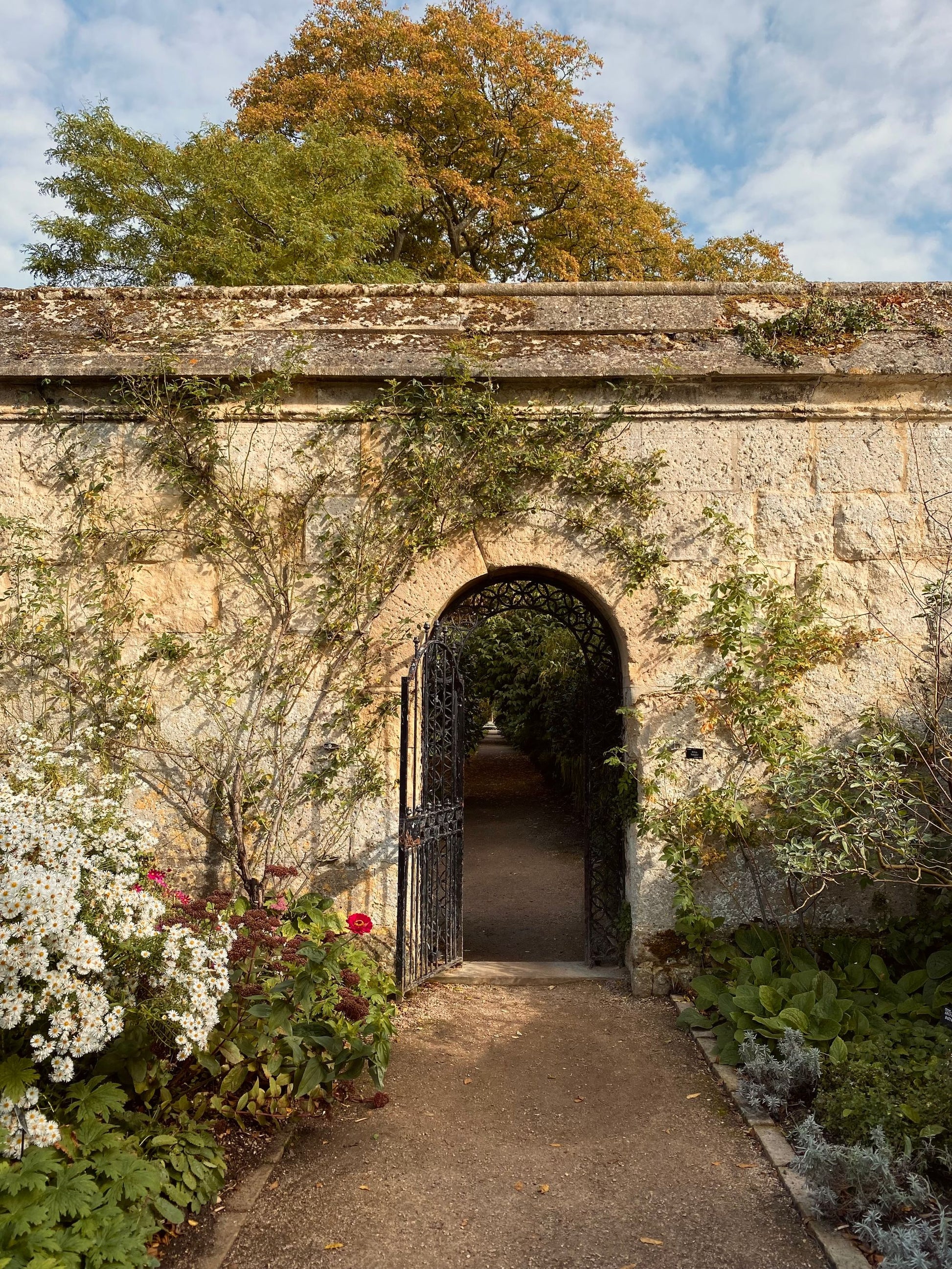 An iron gate opens through a golden stone wall into a walled garden, an evocative image for the Medieval Herb Garden at The Spa at The Newt in Somerset