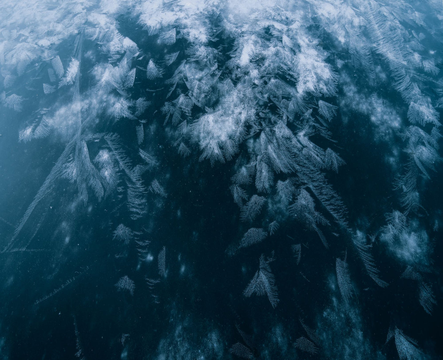 Ice crystals feathering across dark water, standing for the ice fountains in both thermal suites