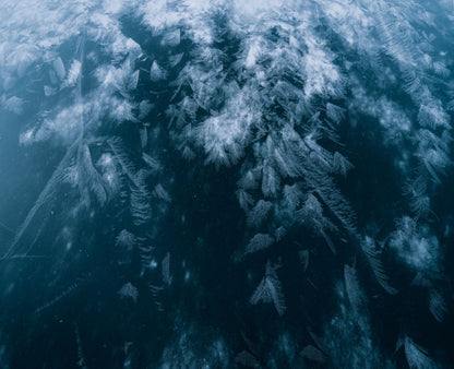 Ice crystals feathering across dark water, standing for the ice fountains in both thermal suites