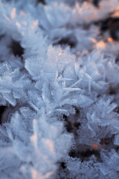 Close up of delicate ice crystals catching low winter light