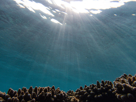 Sunlight filtering through deep blue green water