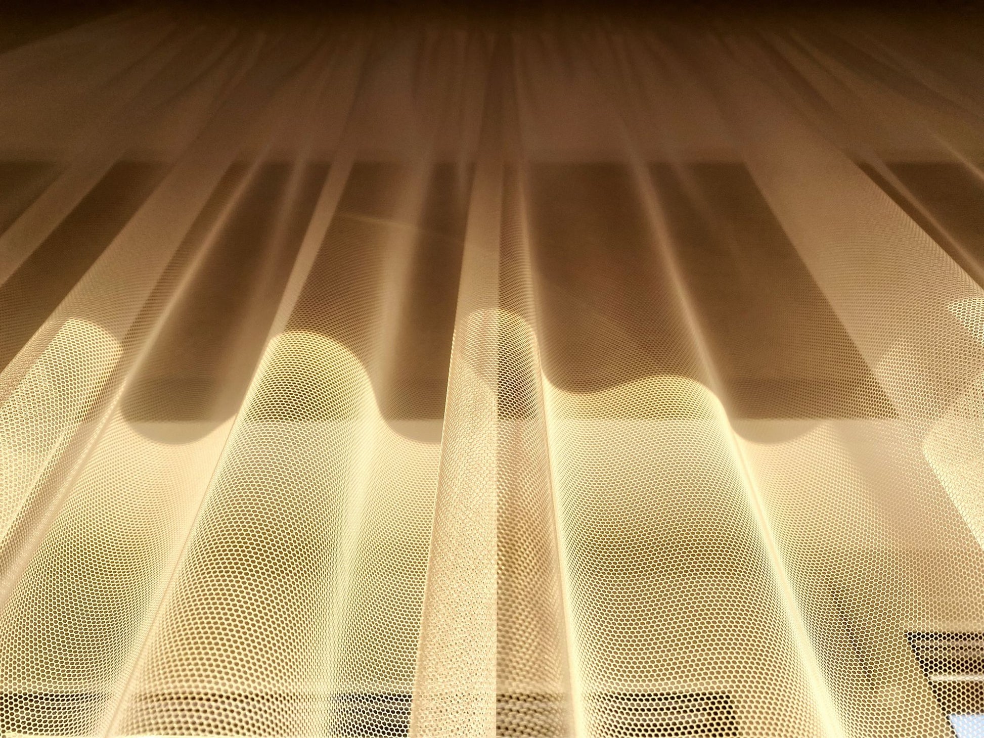 Warm sunlight pouring through fine gauze, the light a spa on the tenth floor gets and a basement never does