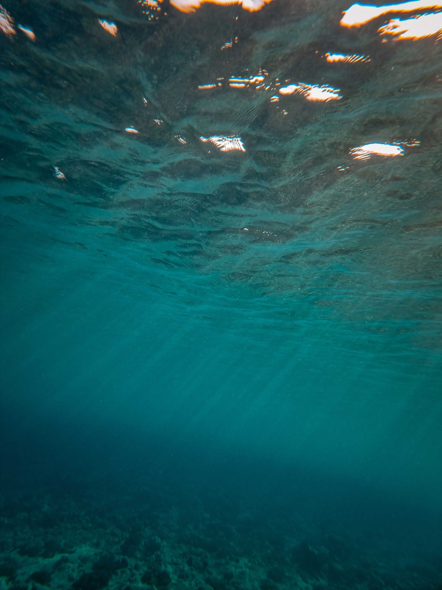 Sunlight breaks through deep water in shifting rays.