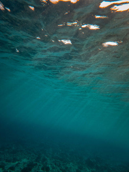 Sunlight breaks through deep water in shifting rays.