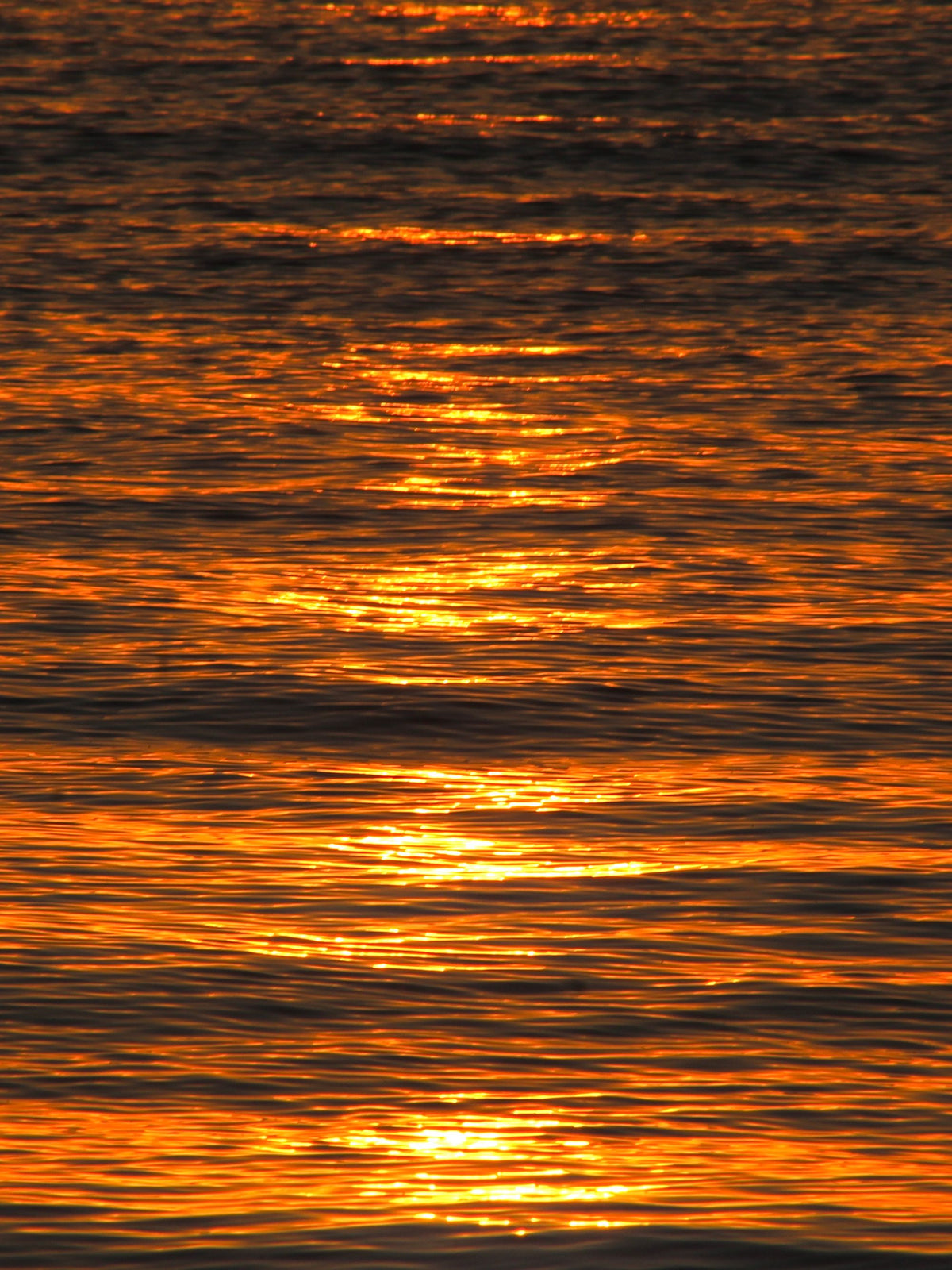 Golden evening light rippling across the Venetian lagoon near Giudecca