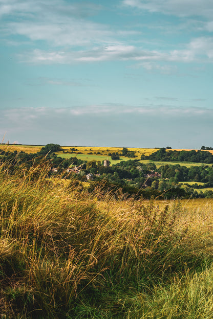 Patchwork Cotswold fields and hedgerows in warm evening light, Calcot Spa, Tetbury