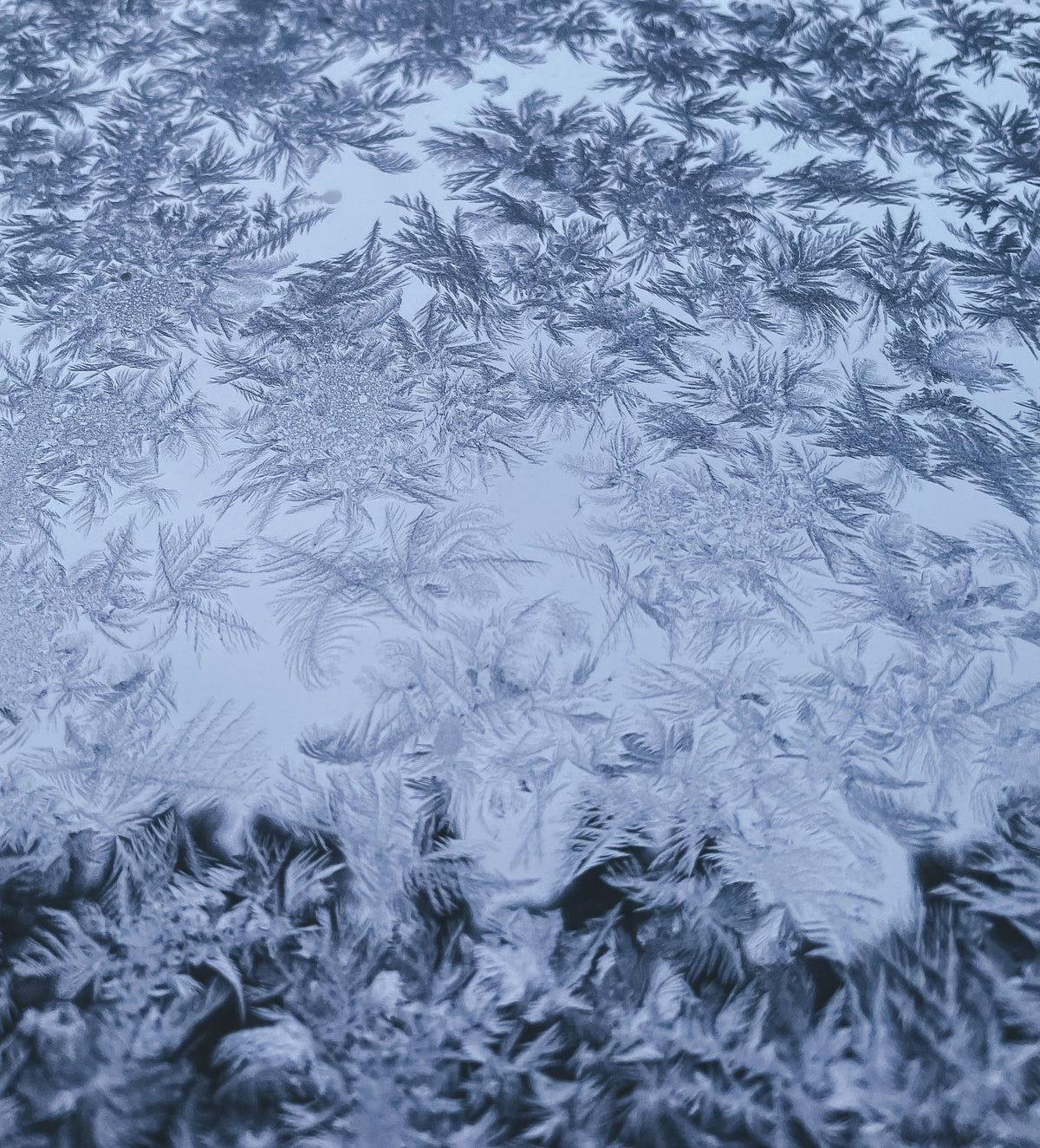 Fine ice crystals spread across a cold surface, the sharp contrast to the sauna's heat