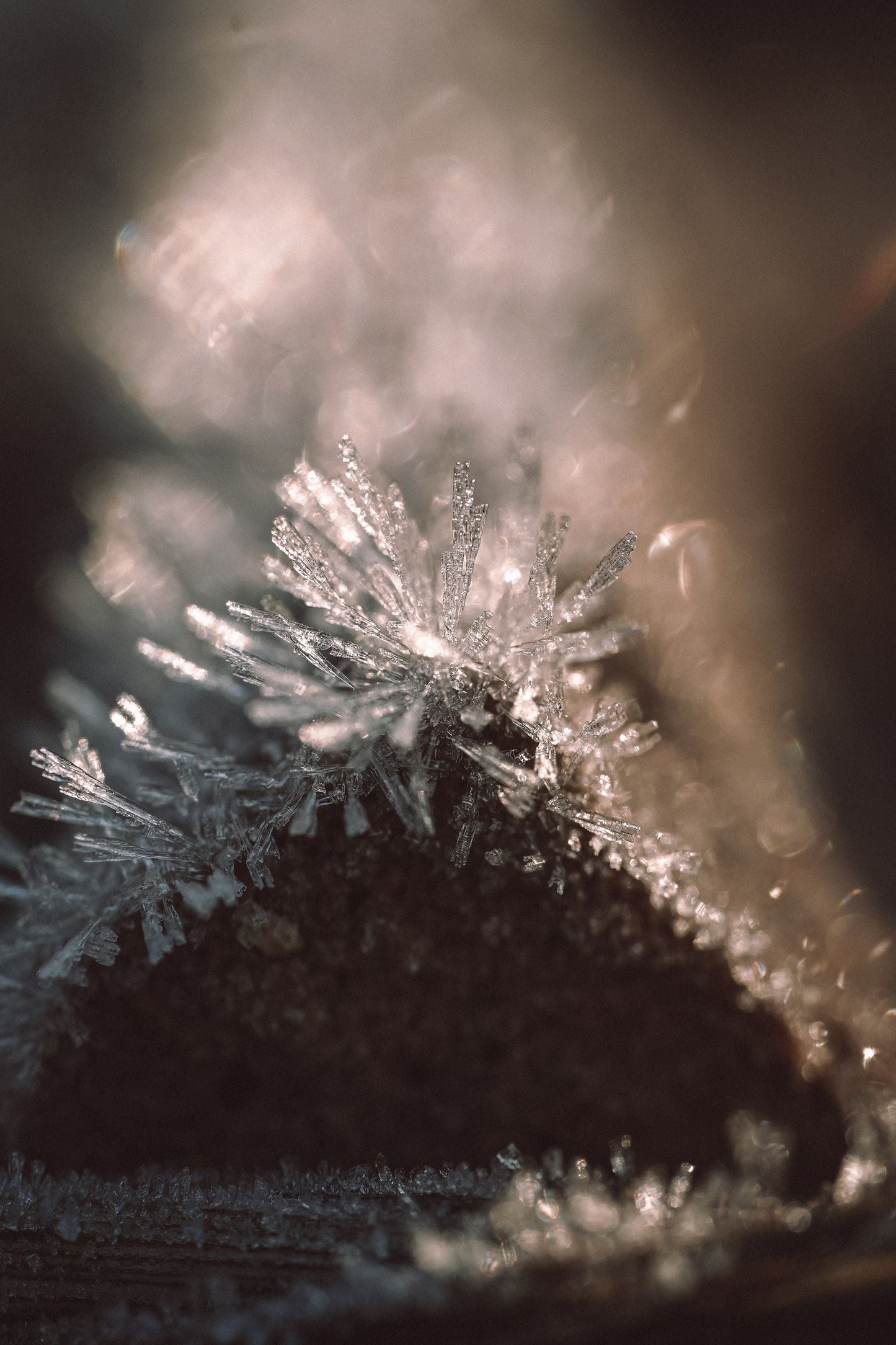 Ice crystals catching warm light in close up, Surrenne at The Emory