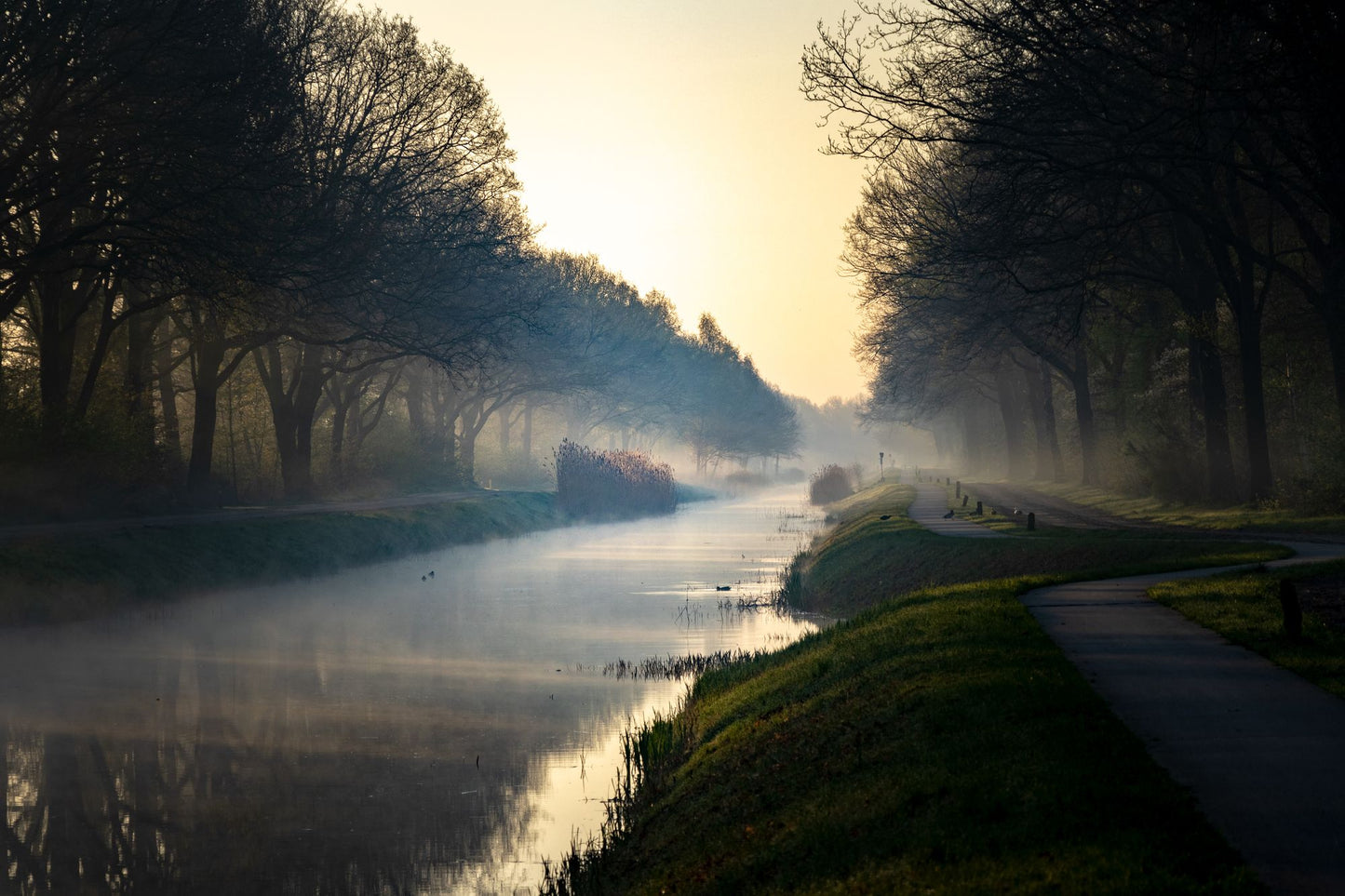 Mist over a river lined with autumn trees in golden morning light, Galgorm Thermal Spa Village, Ballymena