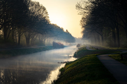 Mist over a river lined with autumn trees in golden morning light, Galgorm Thermal Spa Village, Ballymena