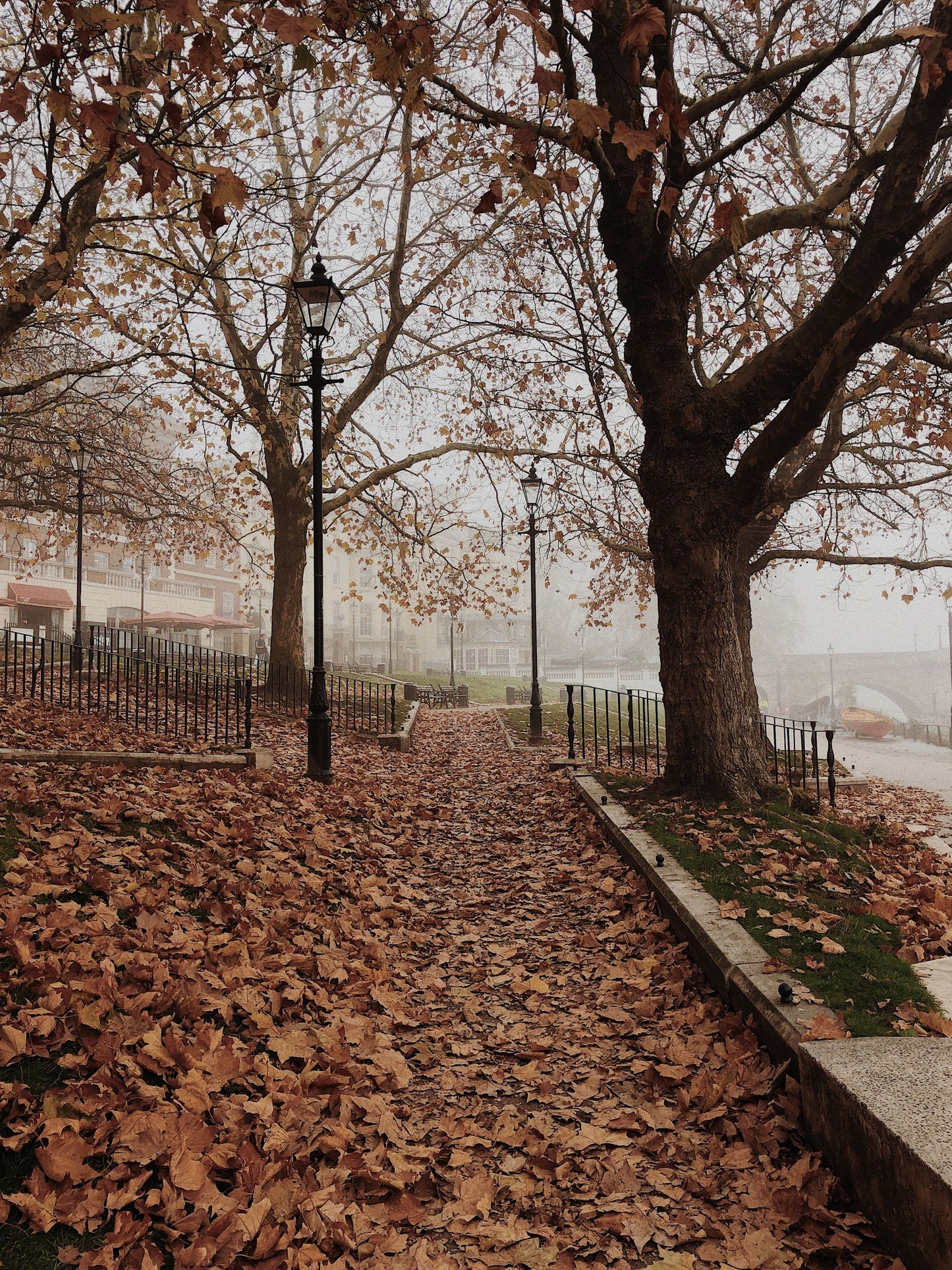 Mist and fallen leaves under the plane trees of a London park, the parkland above the spa that its design refers to rather than the spa itself