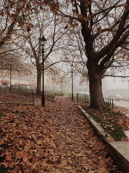 Mist and fallen leaves under the plane trees of a London park, the parkland above the spa that its design refers to rather than the spa itself