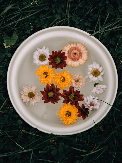 Flower heads floating in a shallow bowl of water, The Meadow Spa at Thyme, Southrop