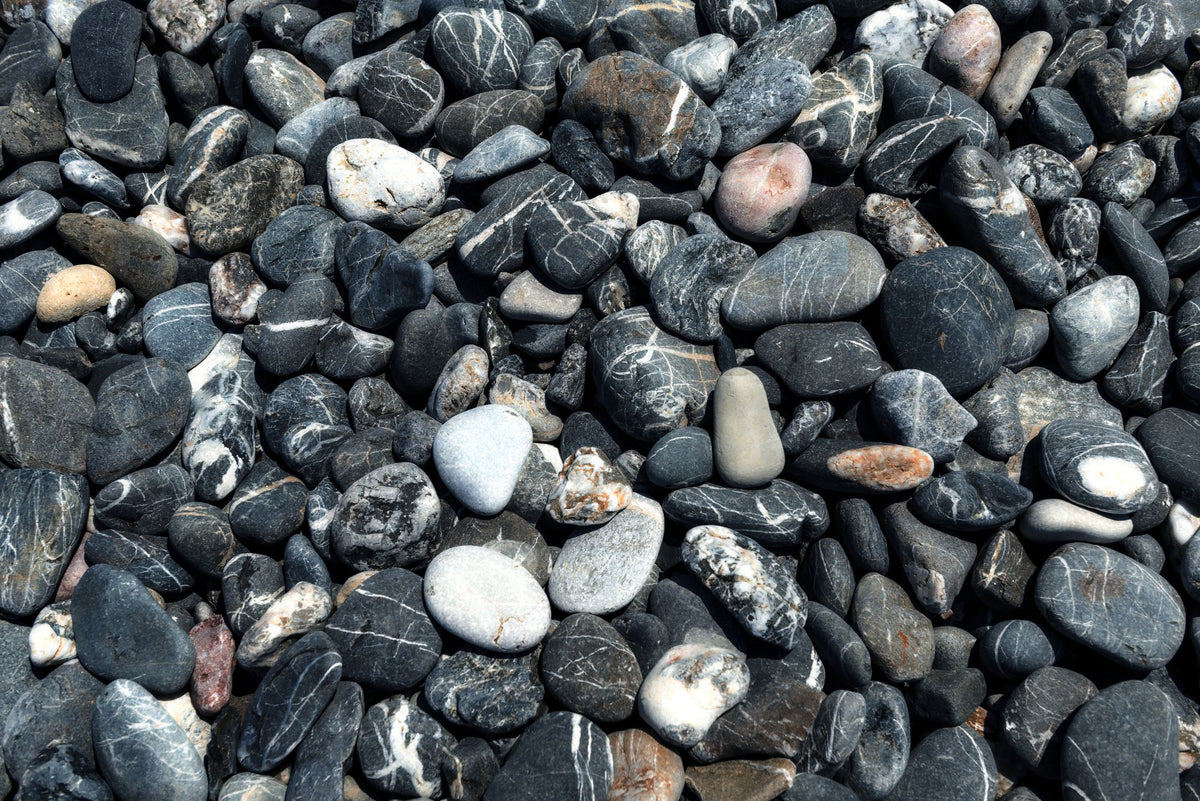 Dark, mineral veined pebbles lie piled together, smoothed by years of tide.