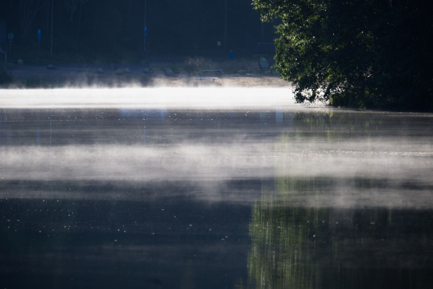 Morning mist lifts off still water in the woodland.