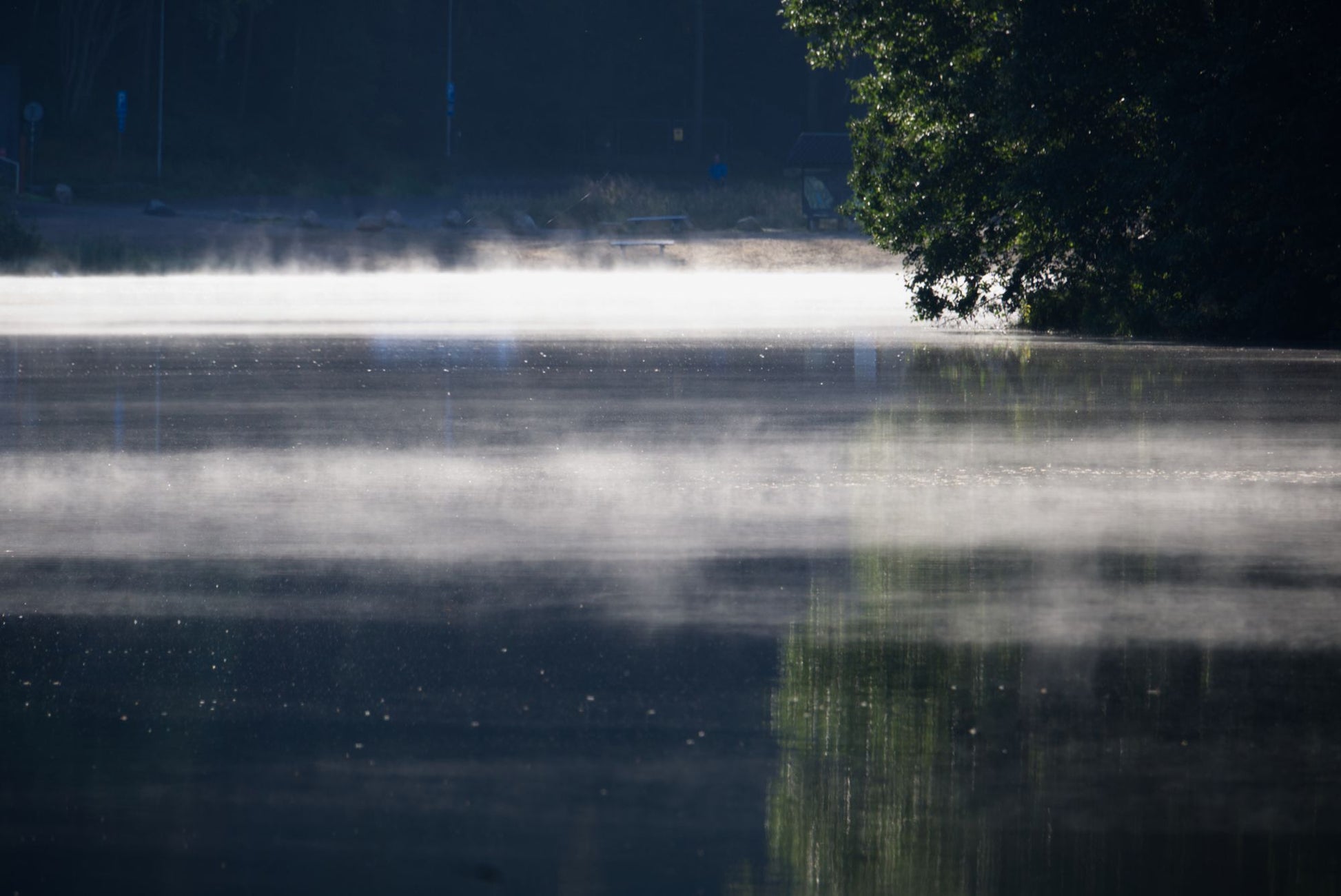 Morning mist lifts off still water in the woodland.