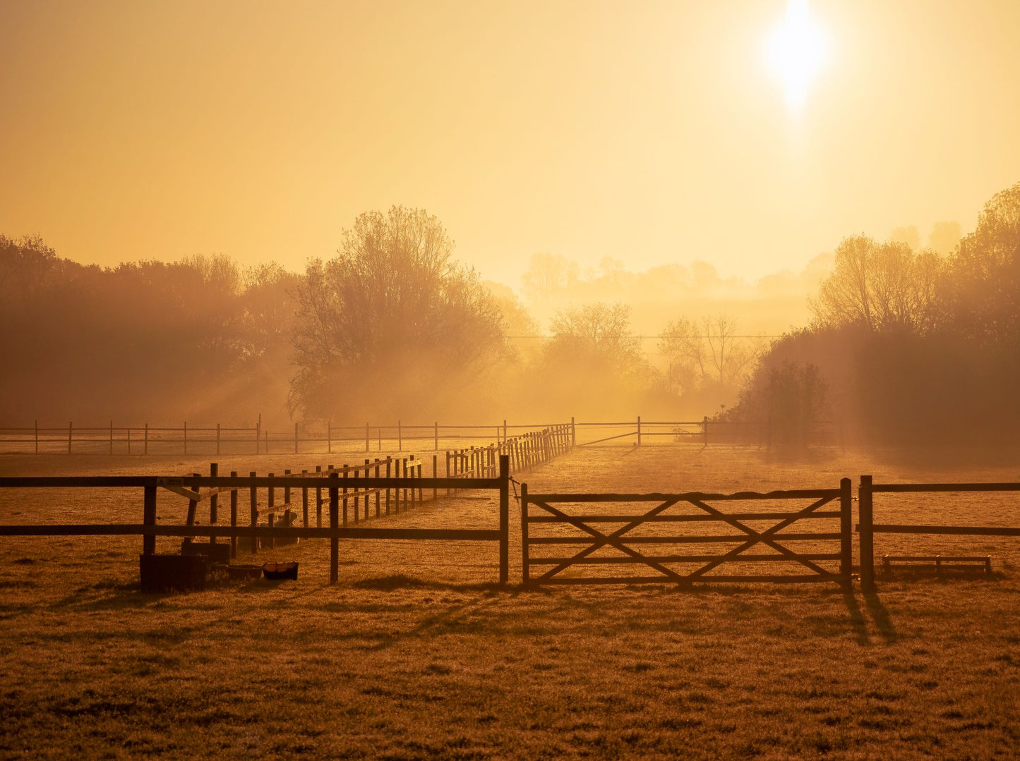 A farm gate and paddock fences in golden evening mist in open countryside, The Cowshed Spa at Soho Farmhouse
