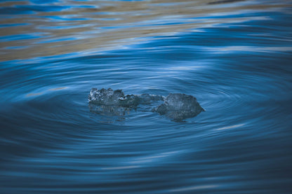 Ice melting into moving blue water, the ice bath at Asaya at The Chancery Rosewood
