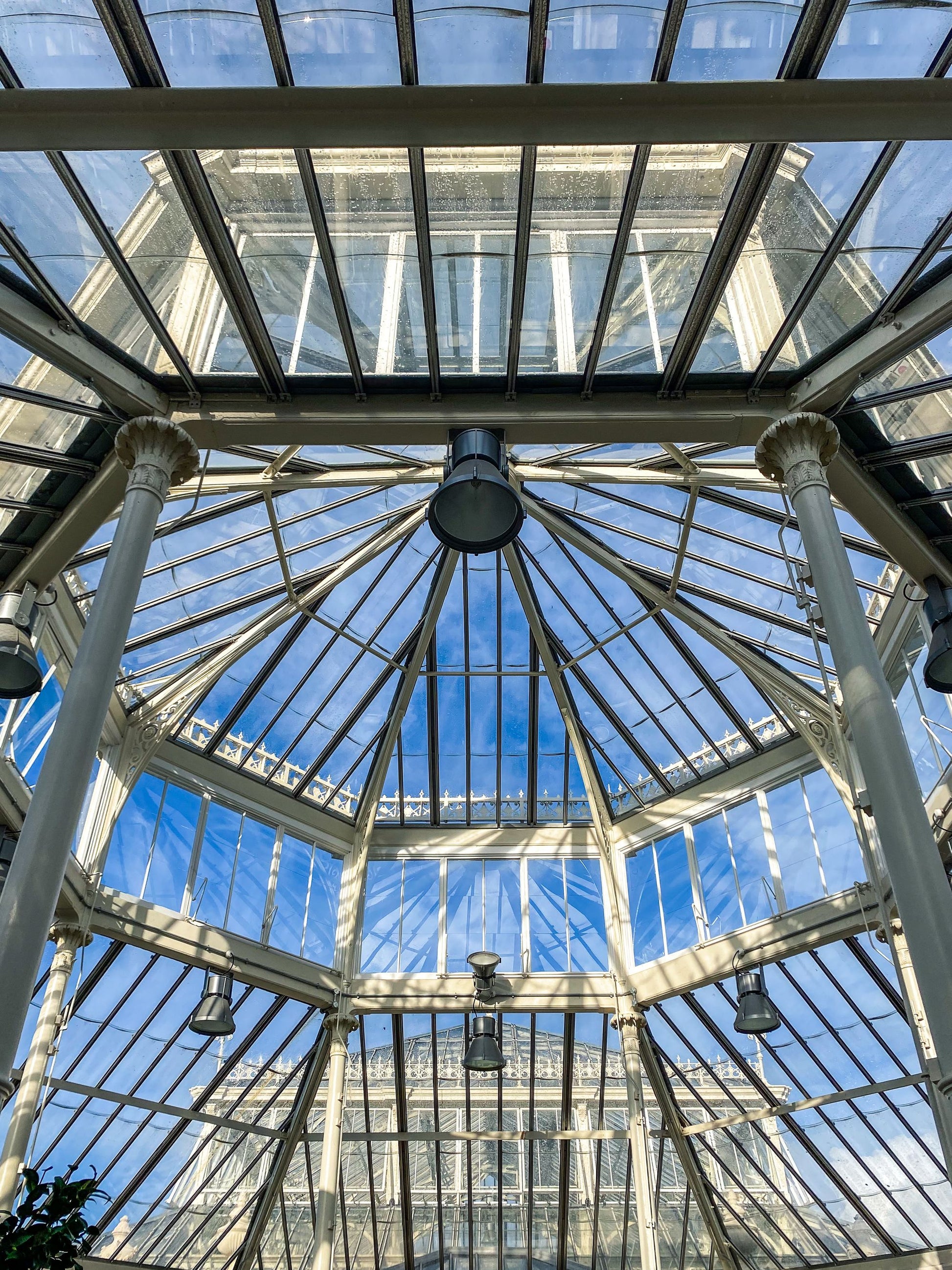 Sunlight through the steel and glass roof of a Victorian glasshouse