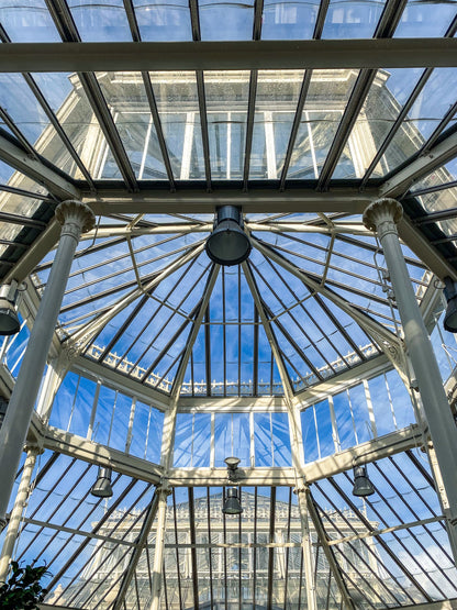 Sunlight through the steel and glass roof of a Victorian glasshouse