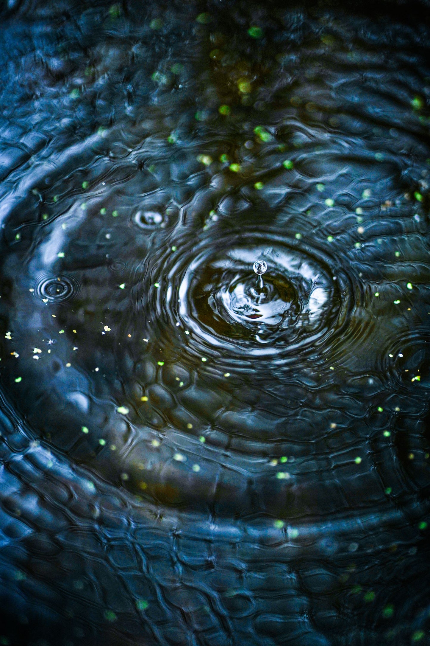 Rings spreading from falling water drops on dark water, The Lanesborough Club & Spa