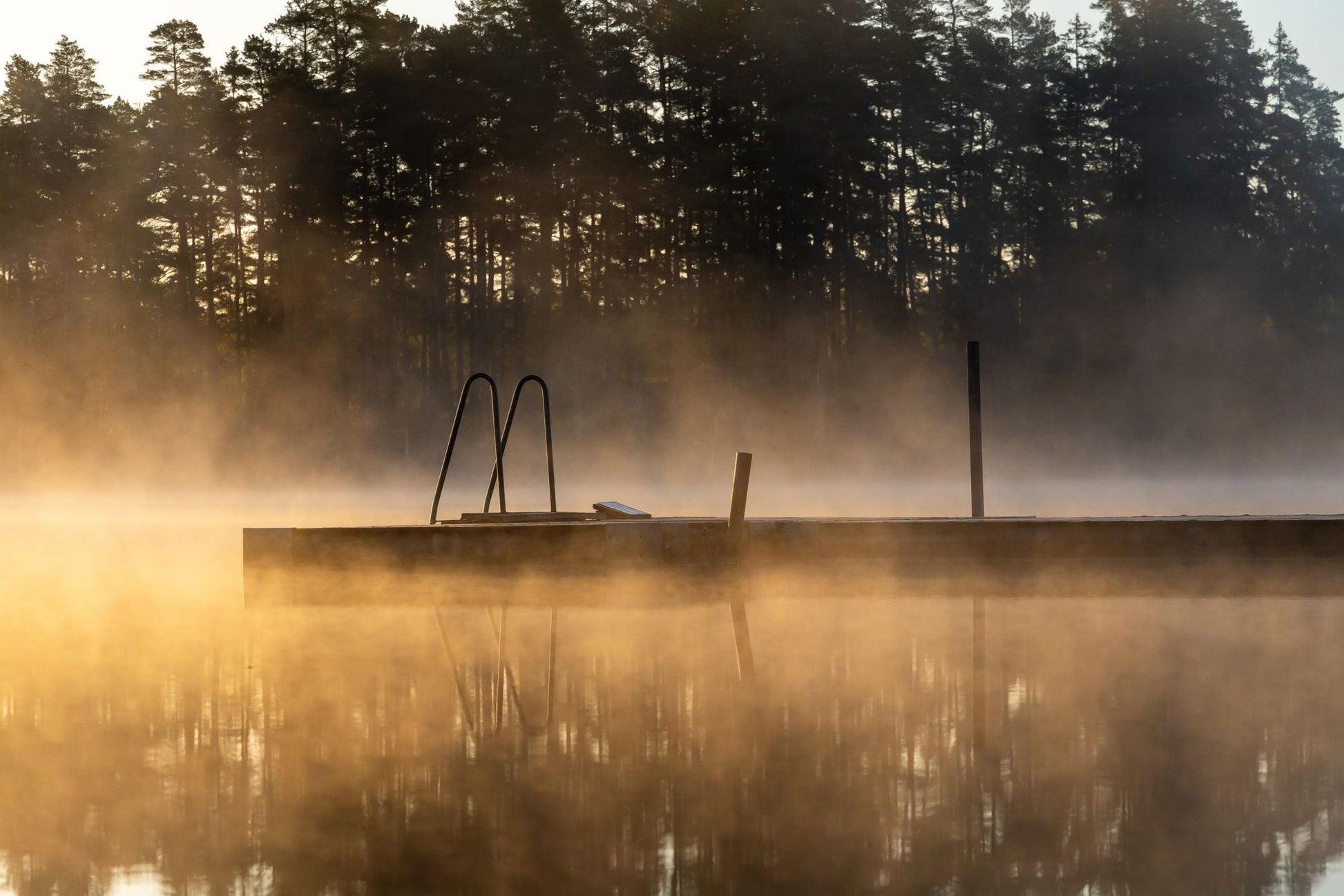Morning mist and a bathing ladder on a still lake at dawn, an evocative image for the guided lake swims at The Newt in Somerset