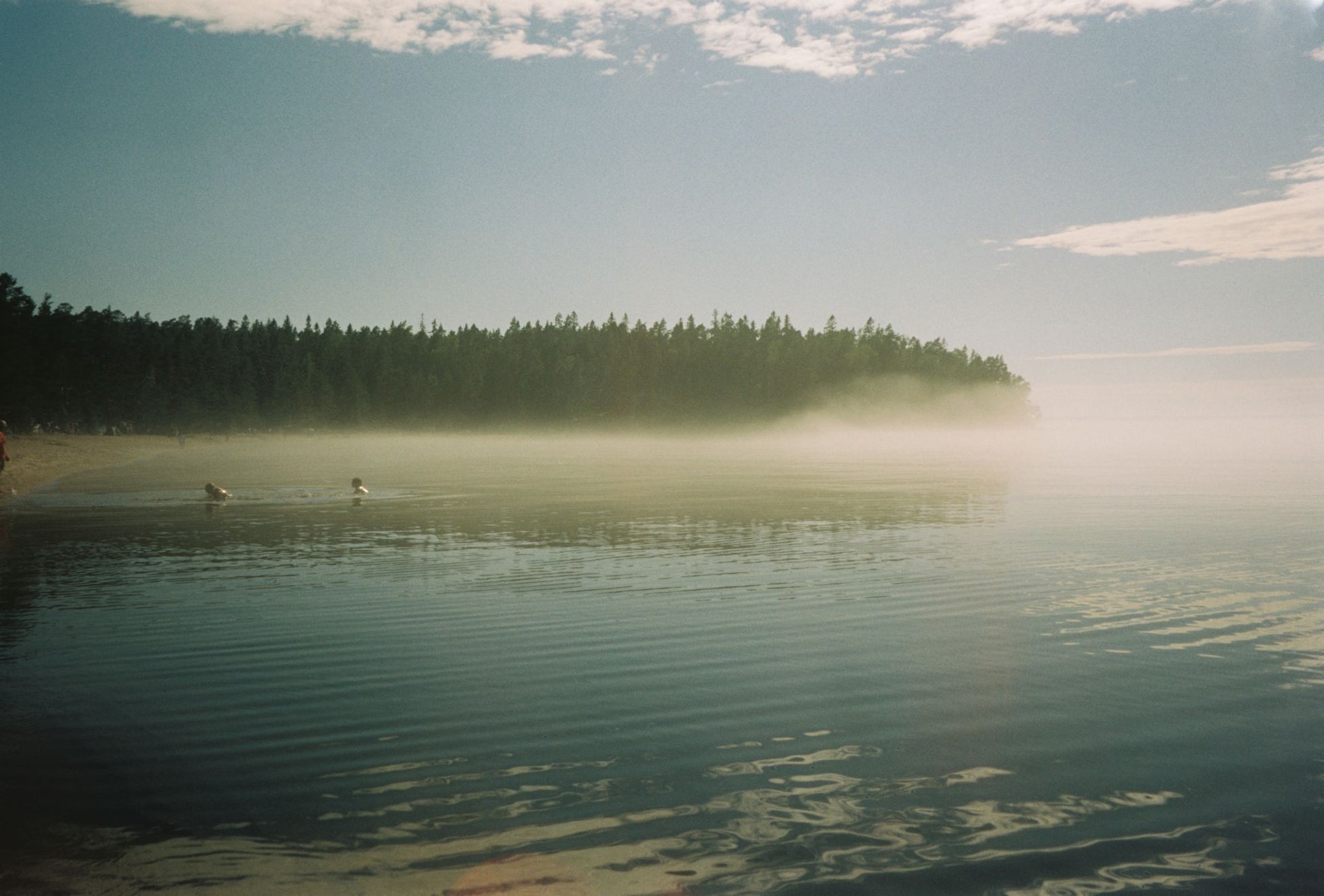 A misty lake at dawn surrounded by trees, evoking the Somerset countryside around the estate