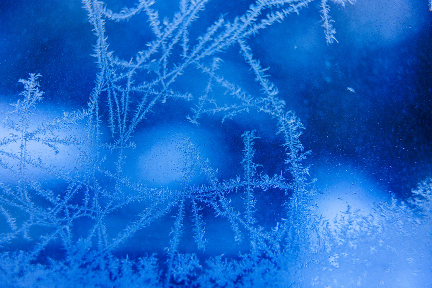 Delicate frost formations spreading across cold glass, Lanserhof at The Arts Club