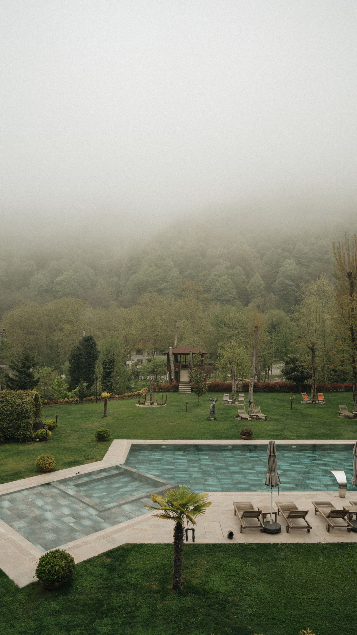 A misty outdoor pool set into lush forest grounds