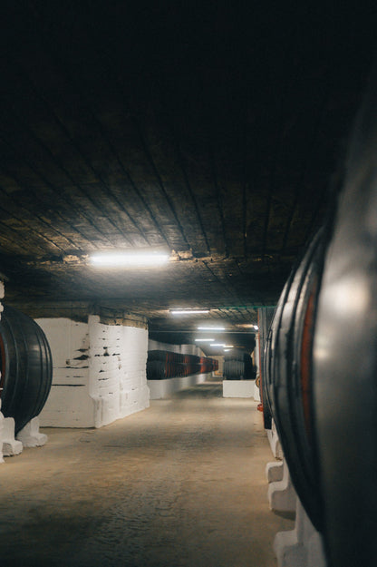 Rows of oak barrels in a dim wine cellar tunnel at a Rioja Alavesa vinotherapy spa