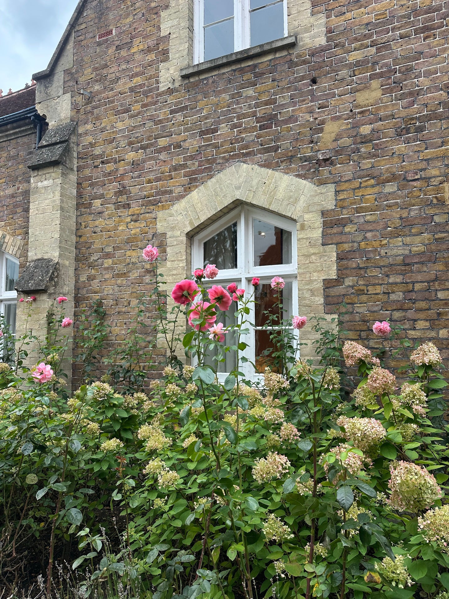 Roses climbing a Cotswold stone wall beside a window, Fieldhouse Spa at THE PIG in the Cotswolds
