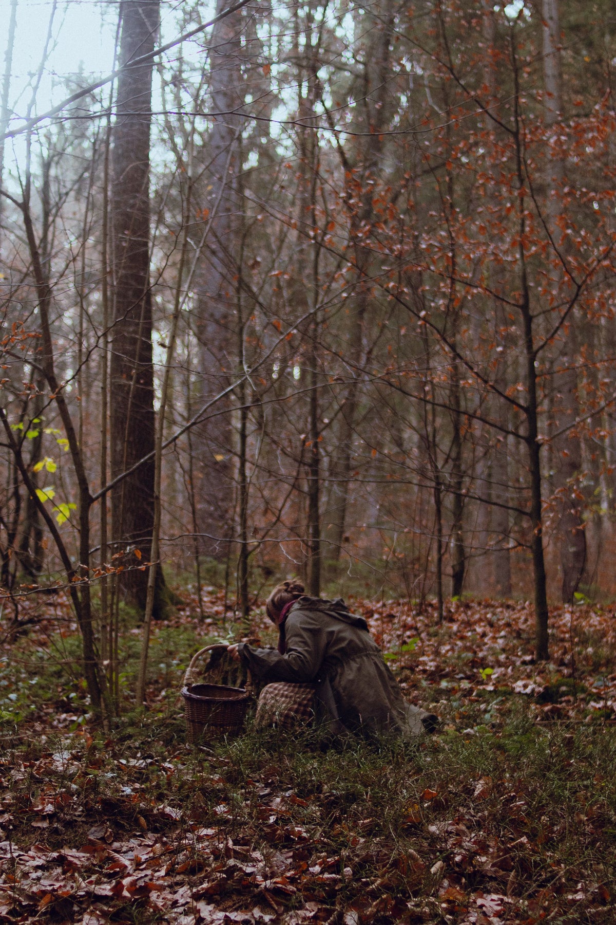 A person foraging with a basket in an autumn forest