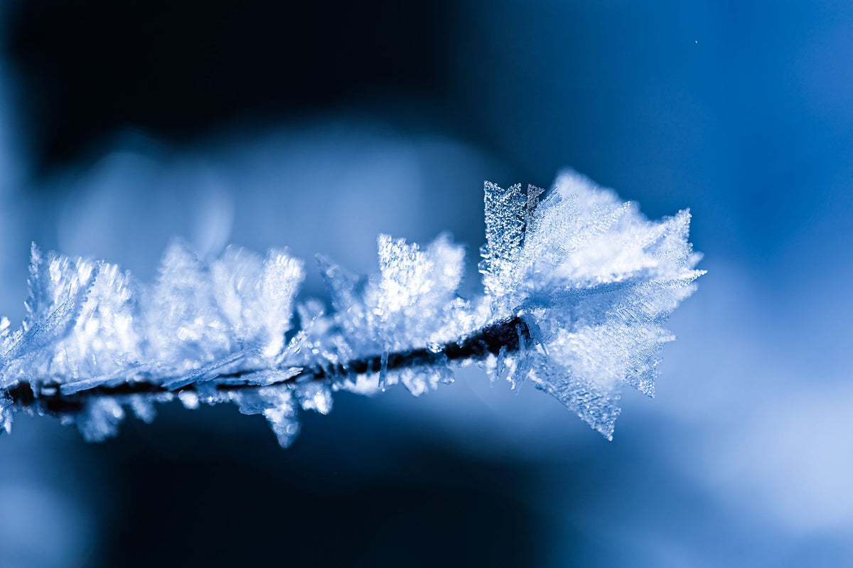 Frost crystals on a winter branch in close up, evoking the cool side of the spa experience