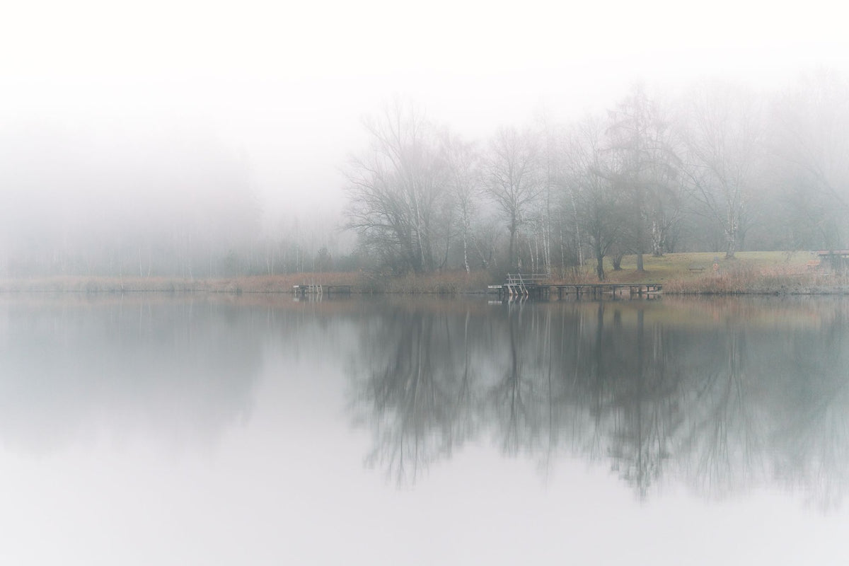 A still lake reflects bare trees in cool morning mist.