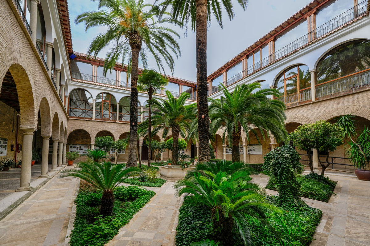 A shaded Andalusian courtyard framed by palm trees