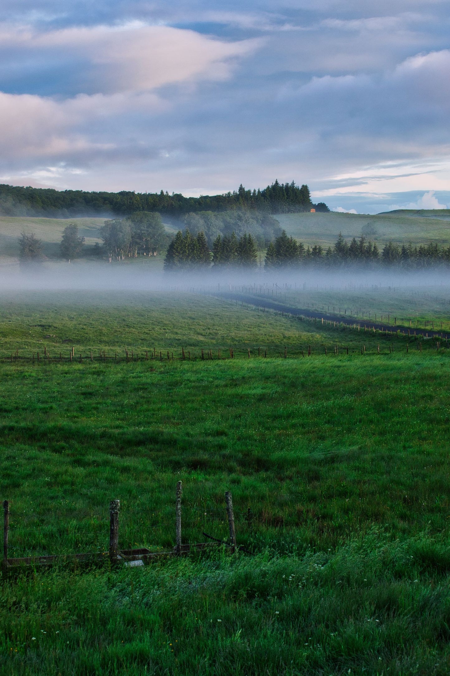 Cold mist lying over a green field at first light, Fieldhouse Spa at THE PIG in the Cotswolds