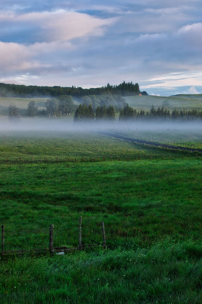Cold mist lying over a green field at first light, Fieldhouse Spa at THE PIG in the Cotswolds