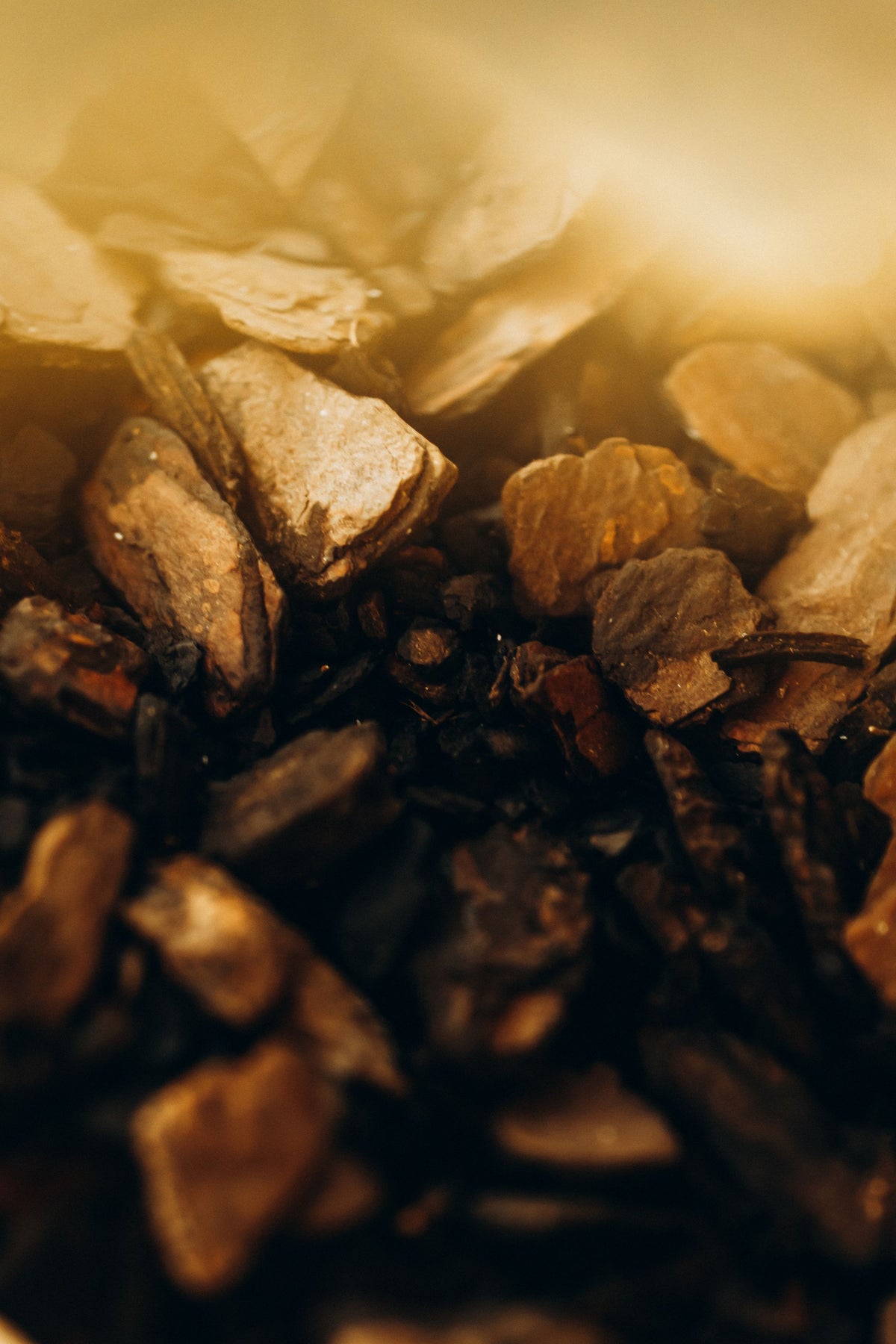 Close up of warm sunlit stones with golden light